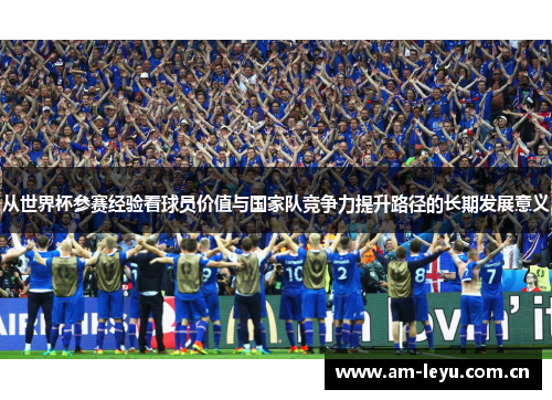 从世界杯参赛经验看球员价值与国家队竞争力提升路径的长期发展意义
