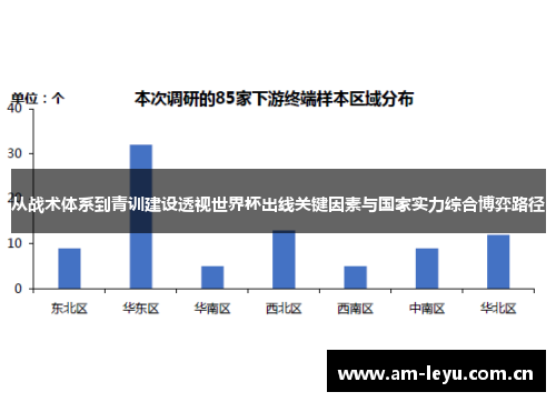 从战术体系到青训建设透视世界杯出线关键因素与国家实力综合博弈路径