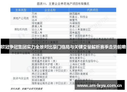欧冠争冠集团实力全景对比豪门格局与关键变量解析赛季走势前瞻